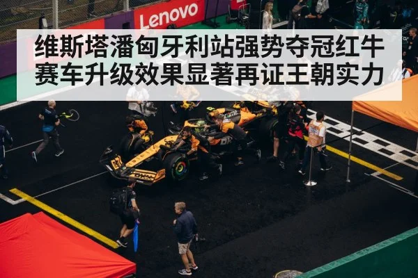 F1 pit stop strategy