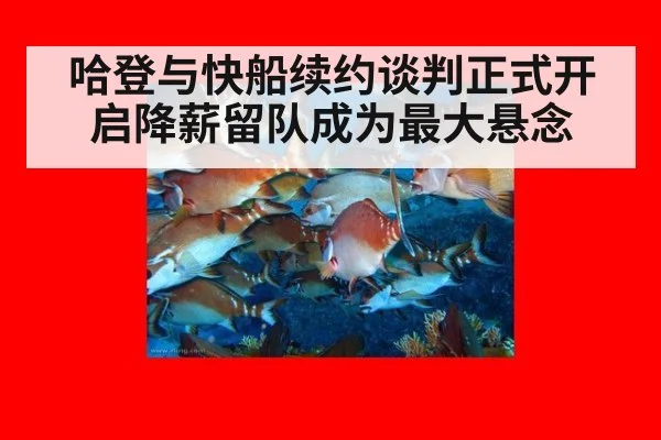 哈登与快船续约谈判正式开启降薪留队成为最大悬念